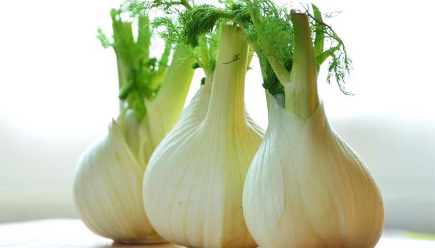 Finocchi, gustosi e aromatici Finocchi, gustosi e aromatici